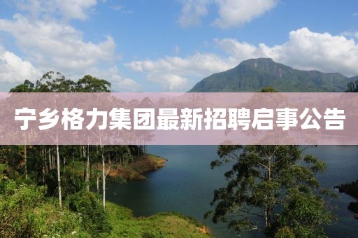 寧鄉(xiāng)格力集團(tuán)最新招聘啟事公告