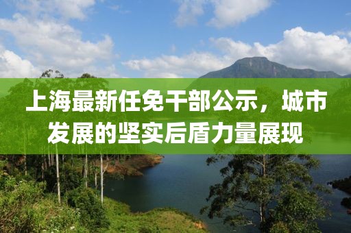 上海最新任免干部公示，城市發(fā)展的堅(jiān)實(shí)后盾力量展現(xiàn)