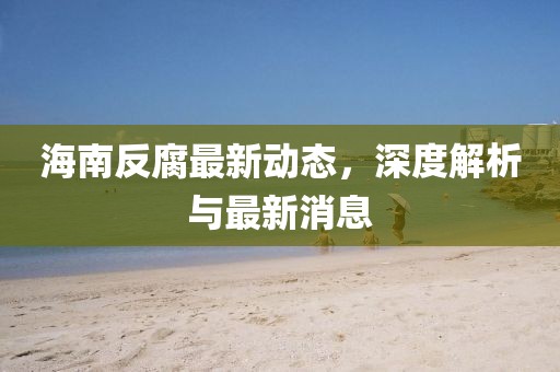 海南反腐最新動態(tài)，深度解析與最新消息