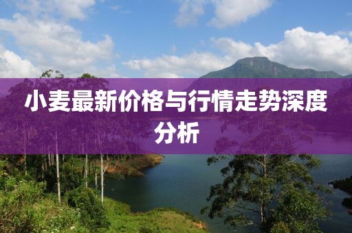 小麥最新價(jià)格與行情走勢(shì)深度分析