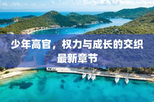少年高官，權(quán)力與成長的交織最新章節(jié)