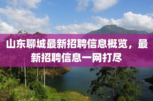 山東聊城最新招聘信息概覽，最新招聘信息一網(wǎng)打盡