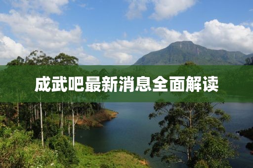 成武吧最新消息全面解讀