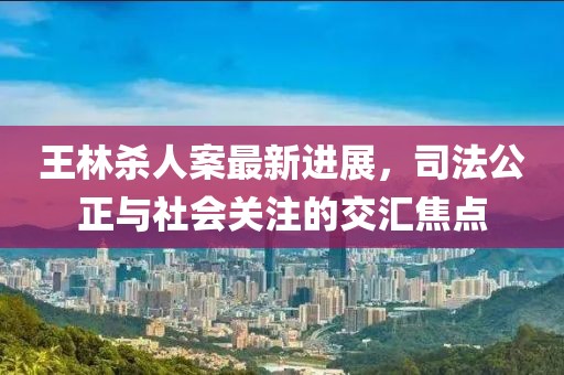 王林殺人案最新進展，司法公正與社會關注的交匯焦點