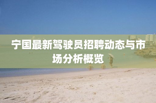 寧國最新駕駛員招聘動態(tài)與市場分析概覽