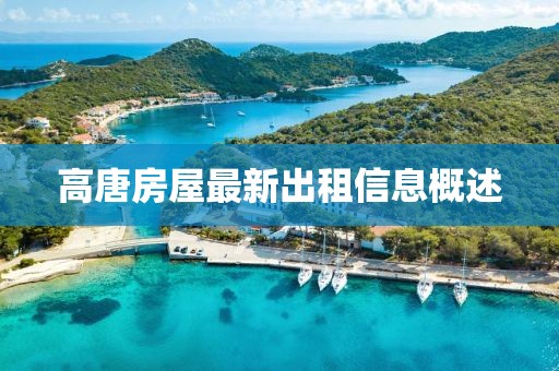 高唐房屋最新出租信息概述