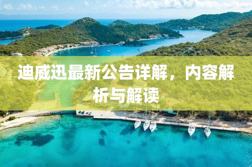 迪威迅最新公告詳解，內(nèi)容解析與解讀