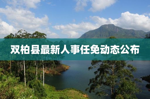 雙柏縣最新人事任免動態(tài)公布