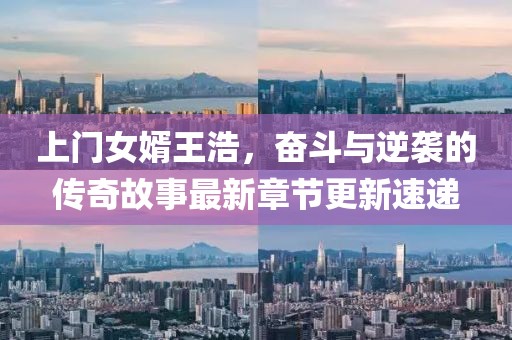 上門(mén)女婿王浩，奮斗與逆襲的傳奇故事最新章節(jié)更新速遞