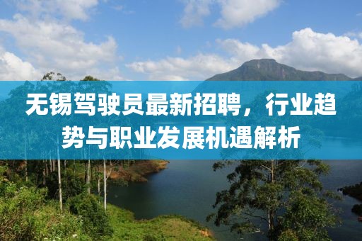 無錫駕駛員最新招聘，行業(yè)趨勢與職業(yè)發(fā)展機(jī)遇解析
