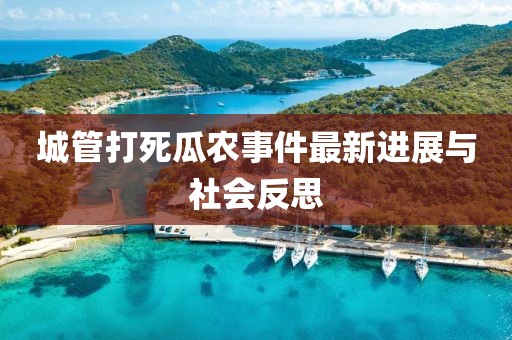 城管打死瓜農(nóng)事件最新進(jìn)展與社會反思