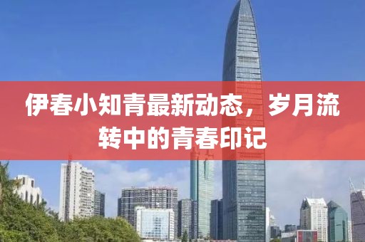 伊春小知青最新動態(tài)，歲月流轉中的青春印記