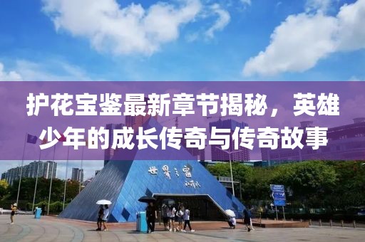 護花寶鑒最新章節(jié)揭秘，英雄少年的成長傳奇與傳奇故事