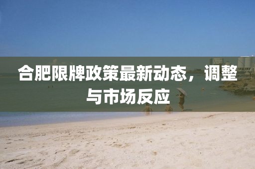 合肥限牌政策最新動(dòng)態(tài)，調(diào)整與市場(chǎng)反應(yīng)
