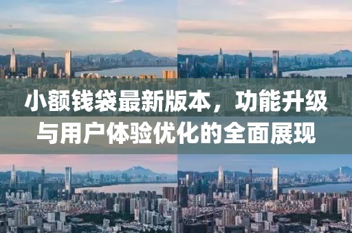 小額錢袋最新版本，功能升級(jí)與用戶體驗(yàn)優(yōu)化的全面展現(xiàn)