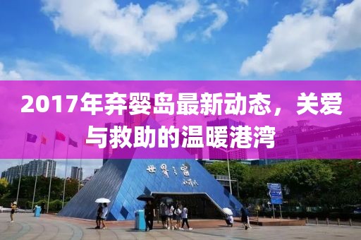 2017年棄嬰島最新動態(tài)，關(guān)愛與救助的溫暖港灣
