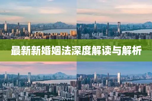 最新新婚姻法深度解讀與解析