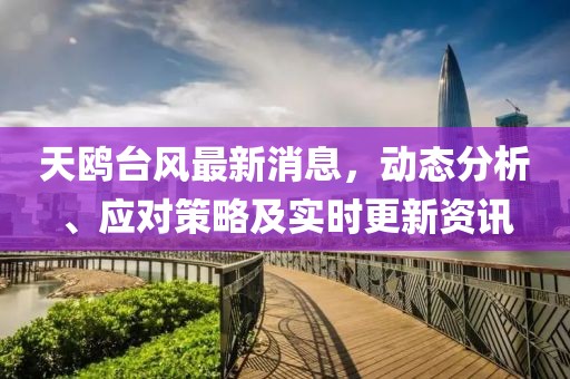天鷗臺風最新消息，動態(tài)分析、應(yīng)對策略及實時更新資訊