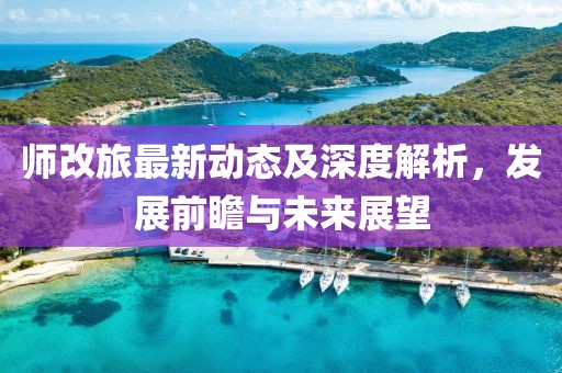 師改旅最新動態(tài)及深度解析，發(fā)展前瞻與未來展望