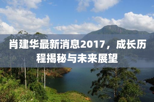 肖建華最新消息2017，成長歷程揭秘與未來展望