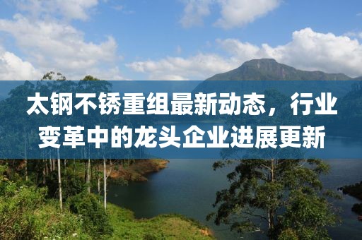太鋼不銹重組最新動態(tài)，行業(yè)變革中的龍頭企業(yè)進(jìn)展更新