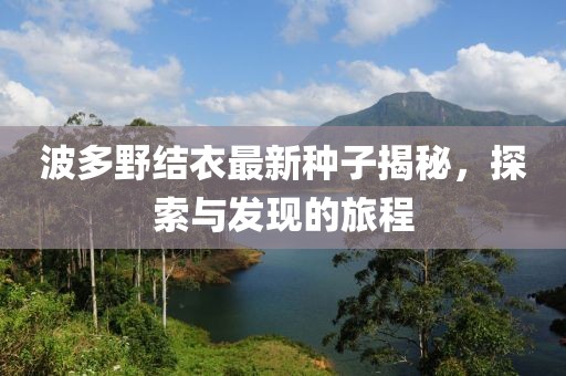 波多野結(jié)衣最新種子揭秘，探索與發(fā)現(xiàn)的旅程