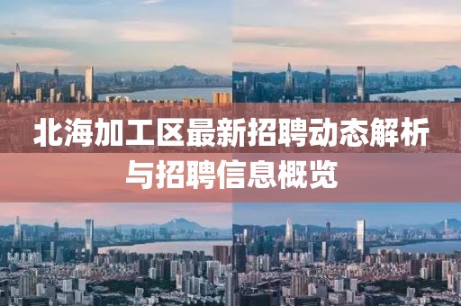 北海加工區(qū)最新招聘動(dòng)態(tài)解析與招聘信息概覽