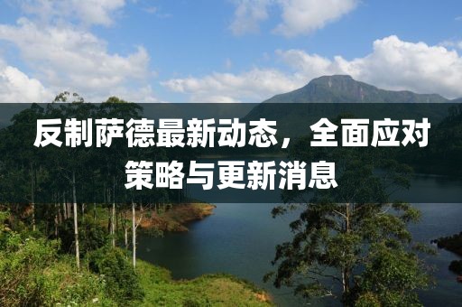 反制薩德最新動態(tài)，全面應對策略與更新消息