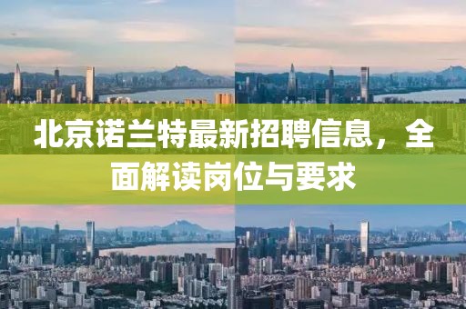 北京諾蘭特最新招聘信息，全面解讀崗位與要求