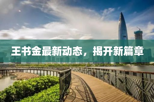 王書金最新動態(tài)，揭開新篇章