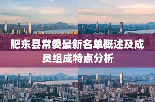 肥東縣常委最新名單概述及成員組成特點分析
