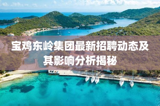 寶雞東嶺集團(tuán)最新招聘動(dòng)態(tài)及其影響分析揭秘