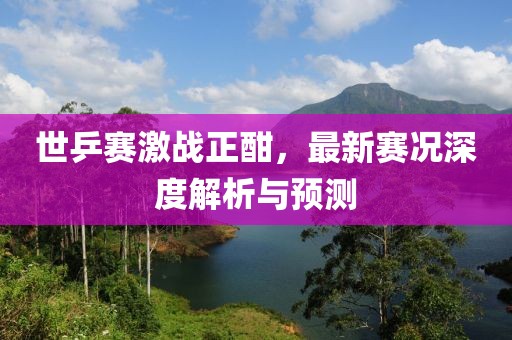 世乒賽激戰(zhàn)正酣，最新賽況深度解析與預測