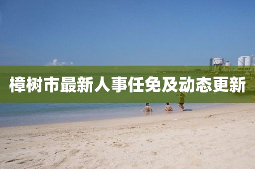 樟樹市最新人事任免及動態(tài)更新