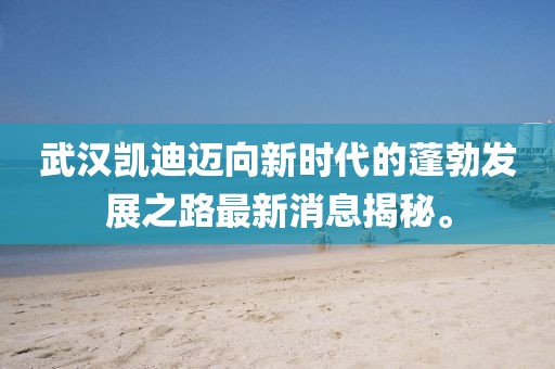 武漢凱迪邁向新時(shí)代的蓬勃發(fā)展之路最新消息揭秘。