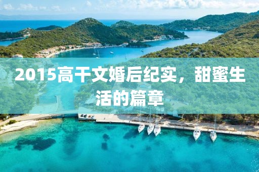 2015高干文婚后紀(jì)實(shí)，甜蜜生活的篇章