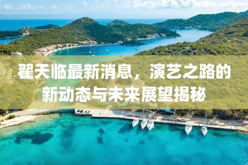 翟天臨最新消息，演藝之路的新動態(tài)與未來展望揭秘