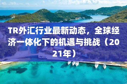 TR外匯行業(yè)最新動(dòng)態(tài)，全球經(jīng)濟(jì)一體化下的機(jī)遇與挑戰(zhàn)（2021年）