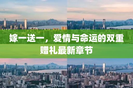 嫁一送一，愛情與命運(yùn)的雙重贈(zèng)禮最新章節(jié)