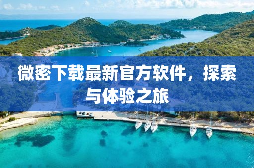 微密下載最新官方軟件，探索與體驗(yàn)之旅