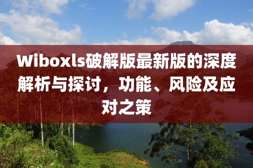 Wiboxls破解版最新版的深度解析與探討，功能、風(fēng)險(xiǎn)及應(yīng)對(duì)之策