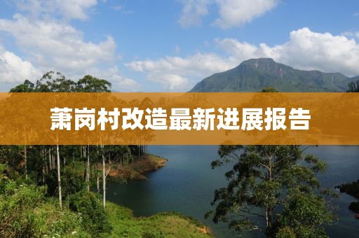 蕭崗村改造最新進(jìn)展報(bào)告