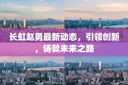 長虹趙勇最新動態(tài)，引領創(chuàng)新，鑄就未來之路