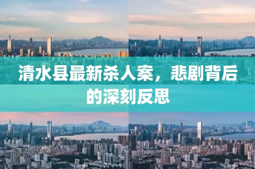 清水縣最新殺人案，悲劇背后的深刻反思