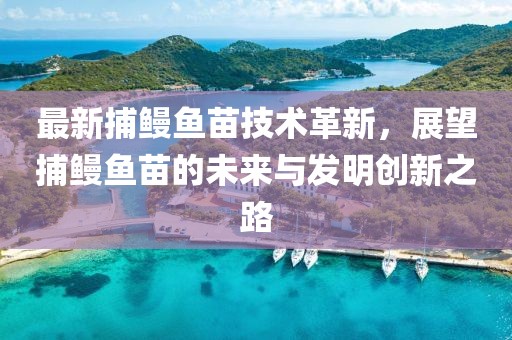 最新捕鰻魚苗技術(shù)革新，展望捕鰻魚苗的未來與發(fā)明創(chuàng)新之路