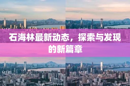 石海林最新動態(tài)，探索與發(fā)現(xiàn)的新篇章