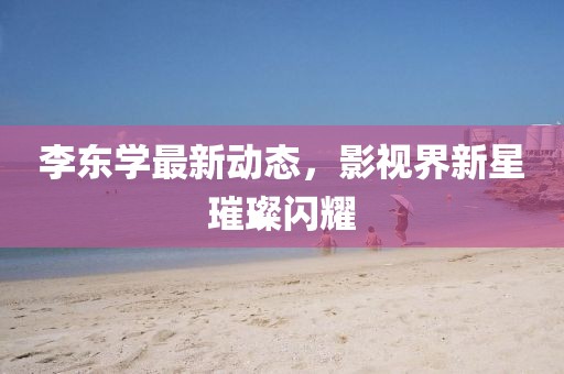 李東學(xué)最新動態(tài)，影視界新星璀璨閃耀