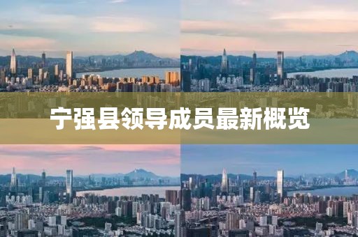 寧強縣領(lǐng)導(dǎo)成員最新概覽