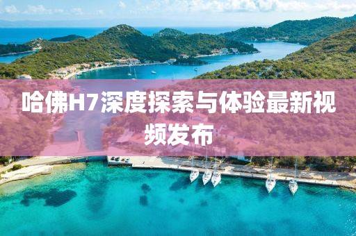 哈佛H7深度探索與體驗(yàn)最新視頻發(fā)布