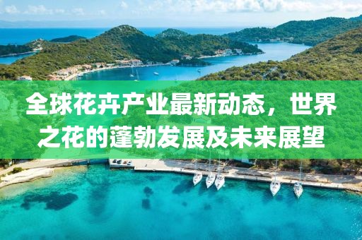 全球花卉產(chǎn)業(yè)最新動態(tài)，世界之花的蓬勃發(fā)展及未來展望